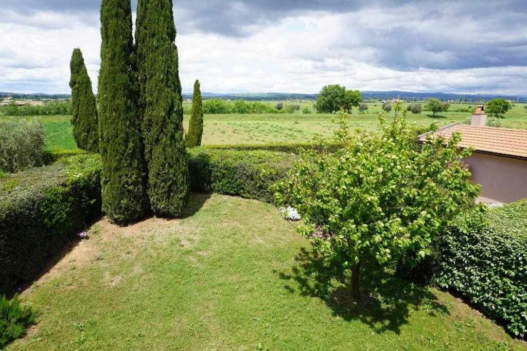 Agriturismo Podere Santa Virginia 알비니아 외부 사진