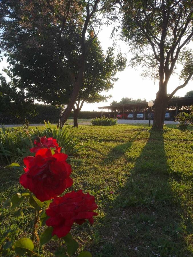 Agriturismo Podere Santa Virginia 알비니아 외부 사진